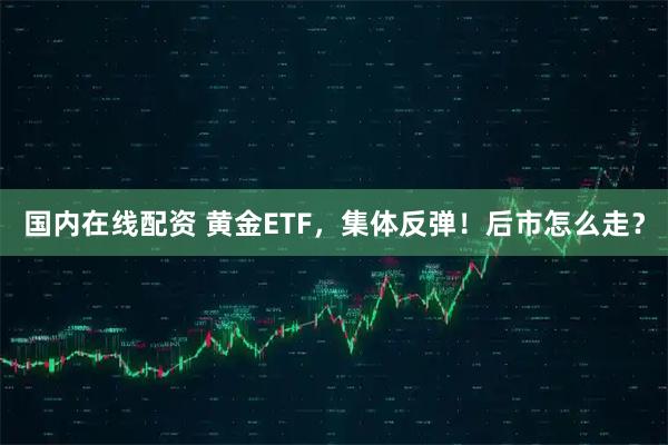 国内在线配资 黄金ETF，集体反弹！后市怎么走？